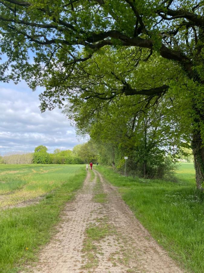 Luxus Lindenhof -ferienwohnungen In Friesland An Der Nordsee Am Naturschutzgebiet Urwald * Neuenburg (Friesland)